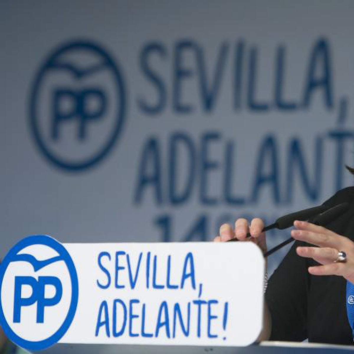 Un relevo para cerrar cinco años de disputas internas en el PP de Sevilla