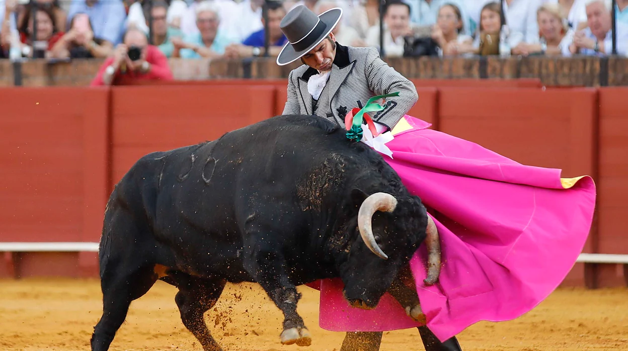 La hermandad del Gran Poder ya tiene toreros para el festival benéfico del 12 de octubre en Sevilla
