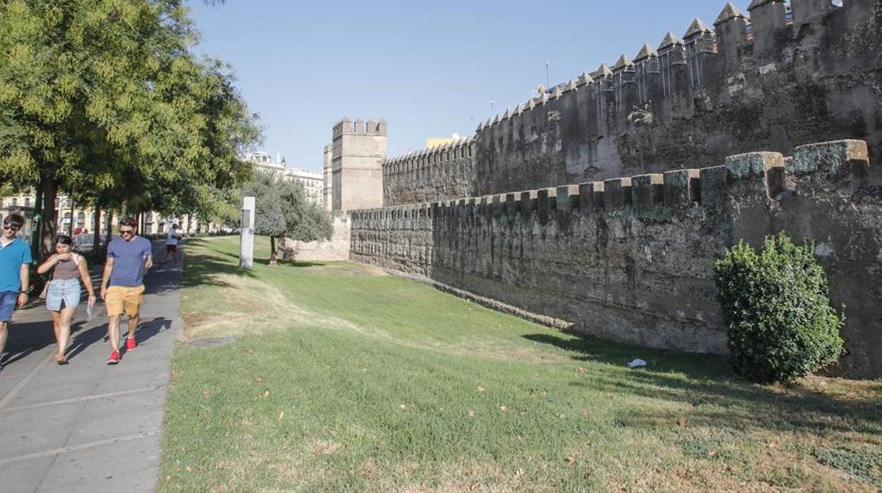 El Ayuntamiento afronta la penúltima fase de la restauración de la Muralla de la Macarena, la de su cara extramuros