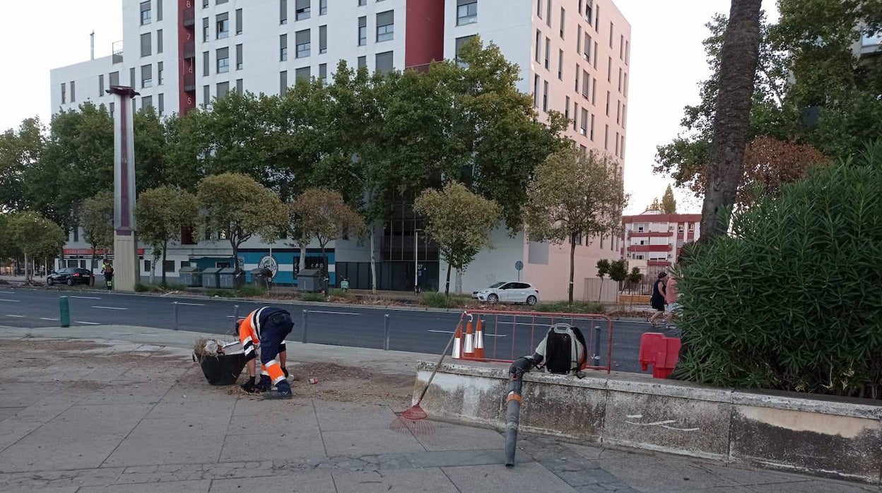 El Ayuntamiento de Sevilla reabre este viernes al tráfico la avenida Jiménez Becerril