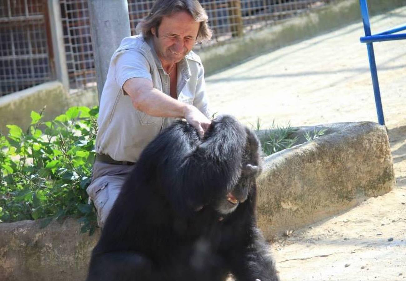 La chimpancé Gina, junto al director de Mundopark, Juan Luis Malpartida