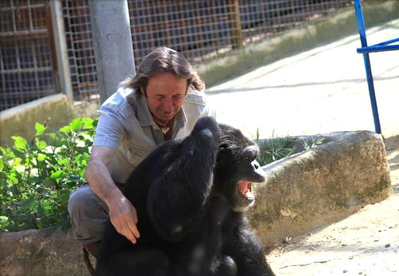 La chimpancé Gina, junto al director de Mundopark, Juan Luis Malpartida