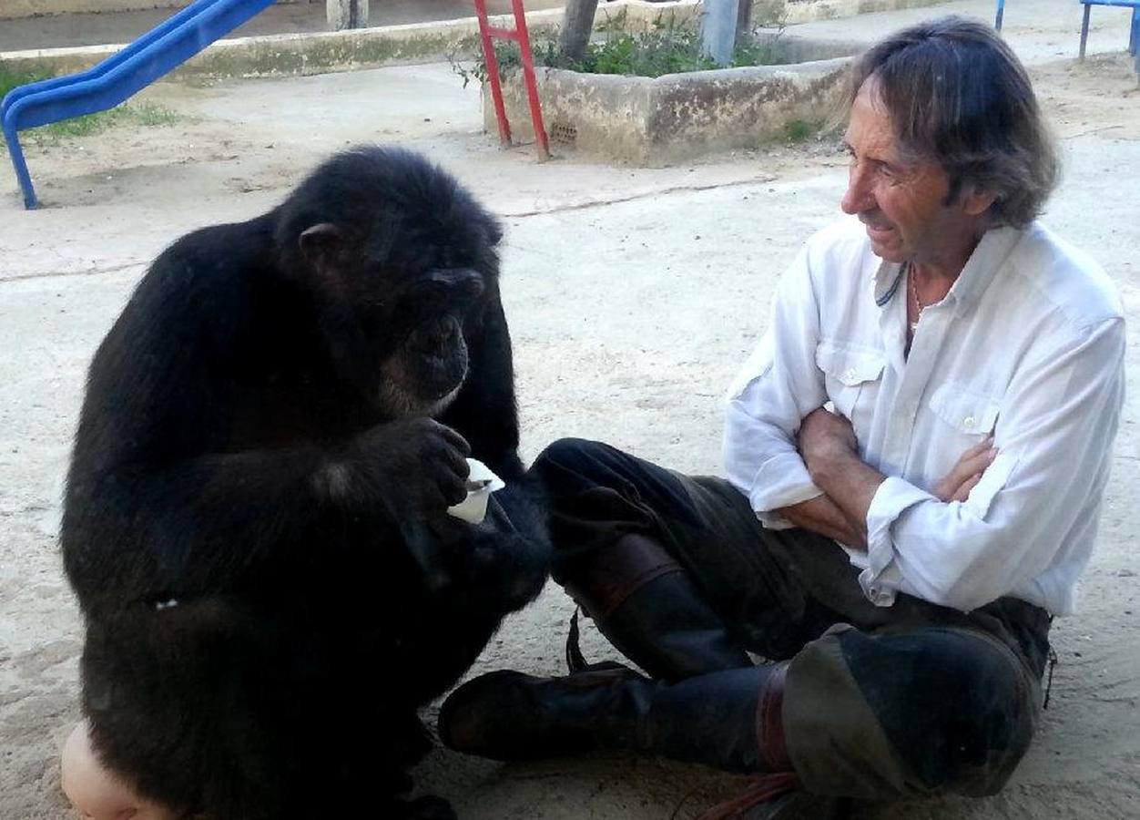 La chimpancé Gina, junto al director de Mundopark, Juan Luis Malpartida