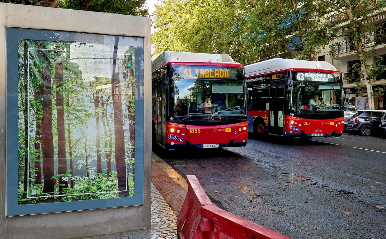Autobuses de las líneas 41 y 43 en la avenida de Reyes Católicos
