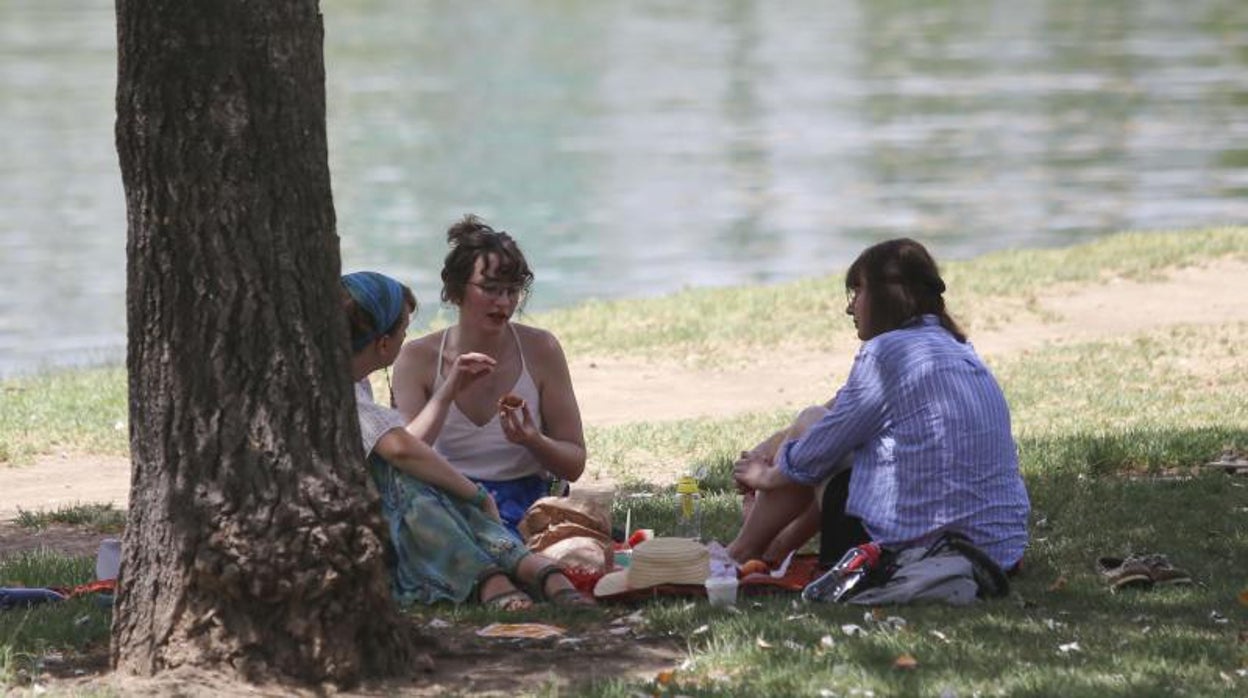 El tiempo en Sevilla: adiós a las lluvias, vuelta al calor