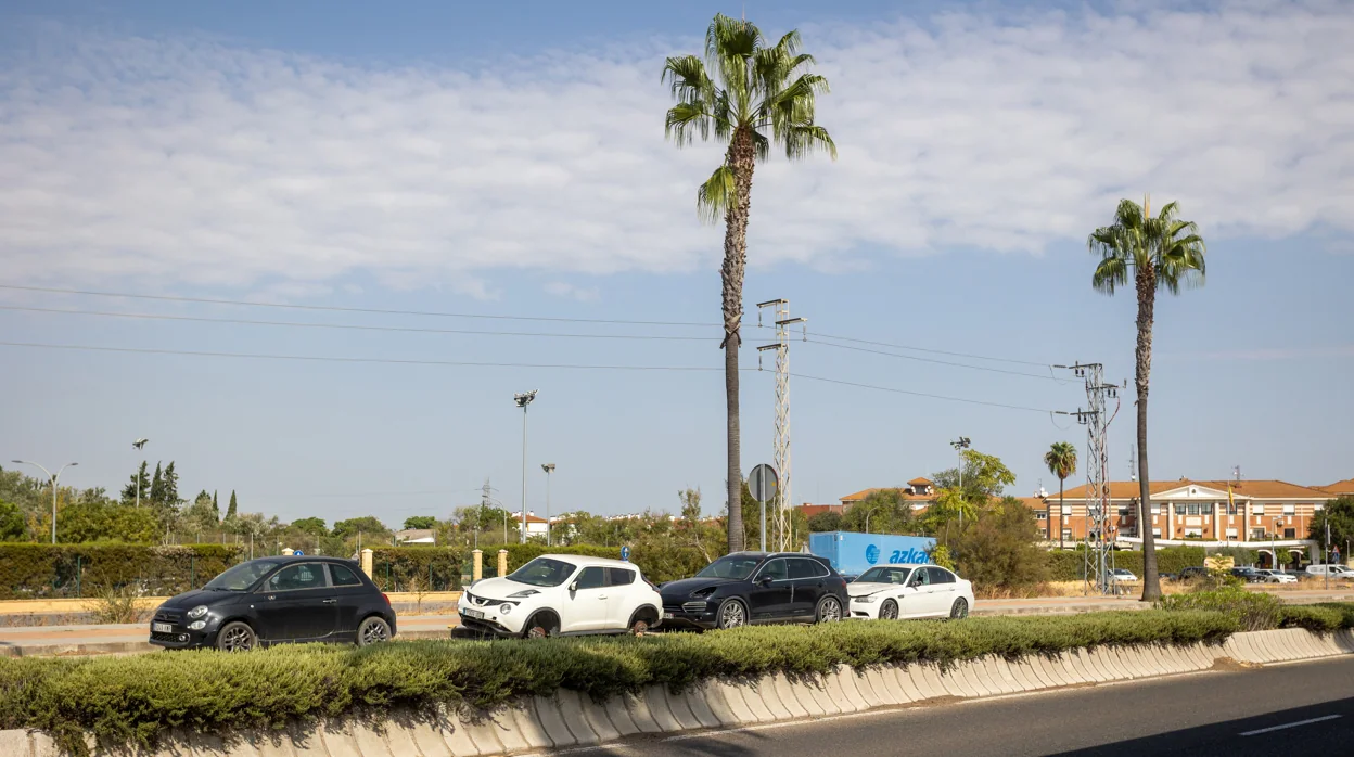 La Junta de Andalucía ha retirado 26 vehículos este año en la Avenida de las Universidades de Sevilla