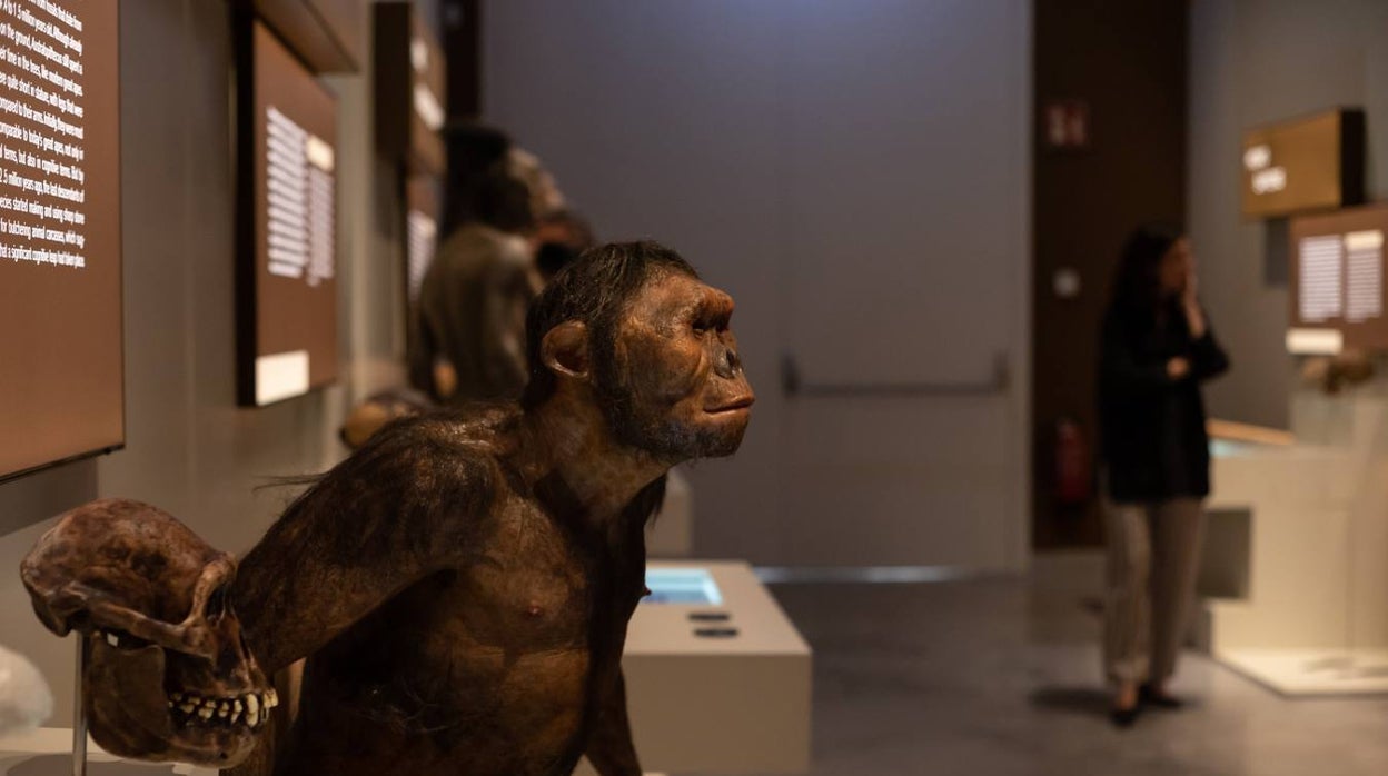 'Talking Brains', la nueva exposición de CaixaForum Sevilla sobre el lenguaje