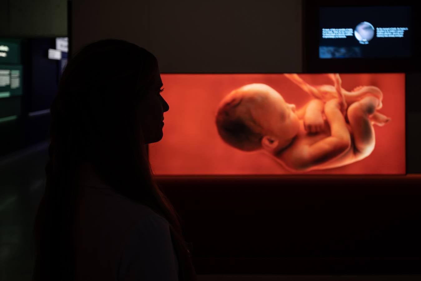 'Talking Brains', la nueva exposición sobre el lenguaje en CaixaForum Sevilla 