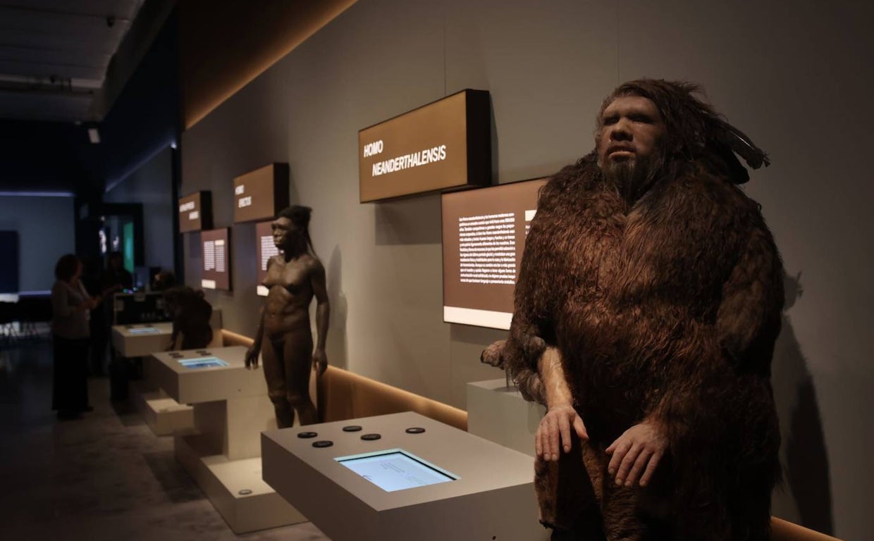 La exposición muestra cuatro especies de homínidos y si tenía capacidad para el lenguaje