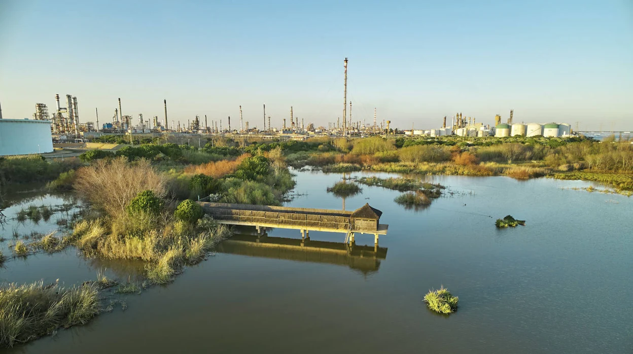 Cepsa comienza a producir biocombustibles avanzados en su planta de Huelva