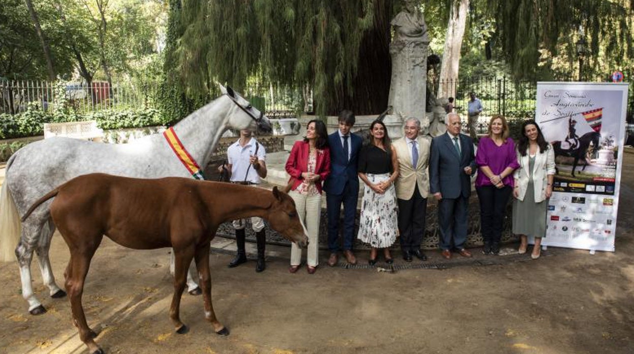 Los caballos anglo-árabes vuelven a Sevilla