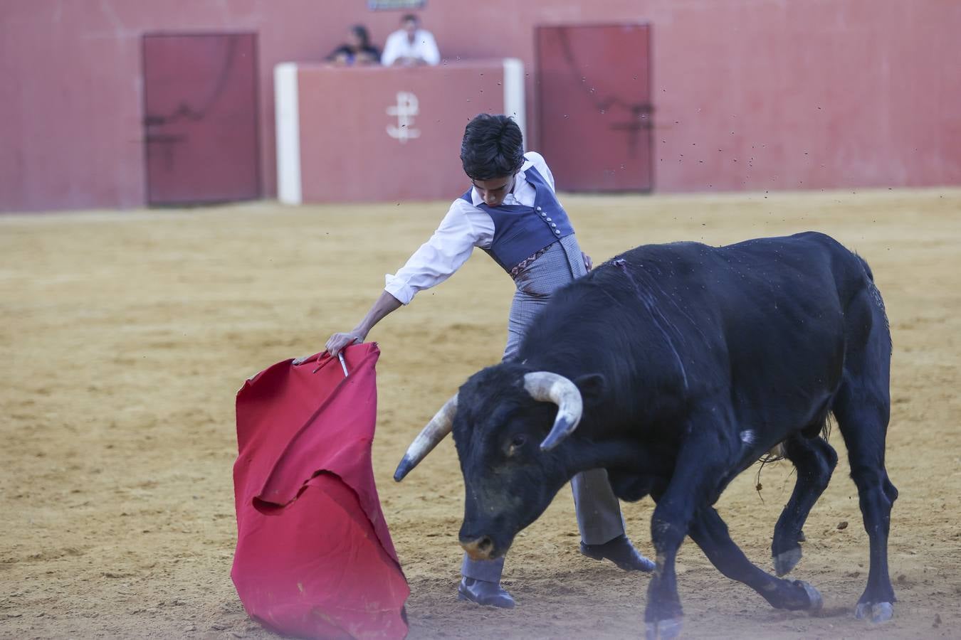 El novillero Marco Pérez, en la finca de Juan Antonio Ruiz 'Espartaco'