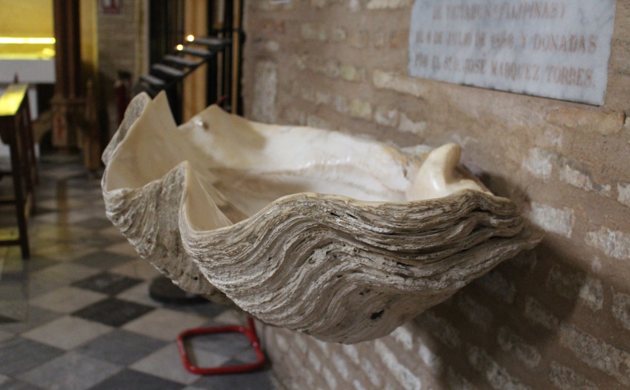 Estas conchas llegaron a la iglesia de Santiago de Utrera procedentes de Filipinas