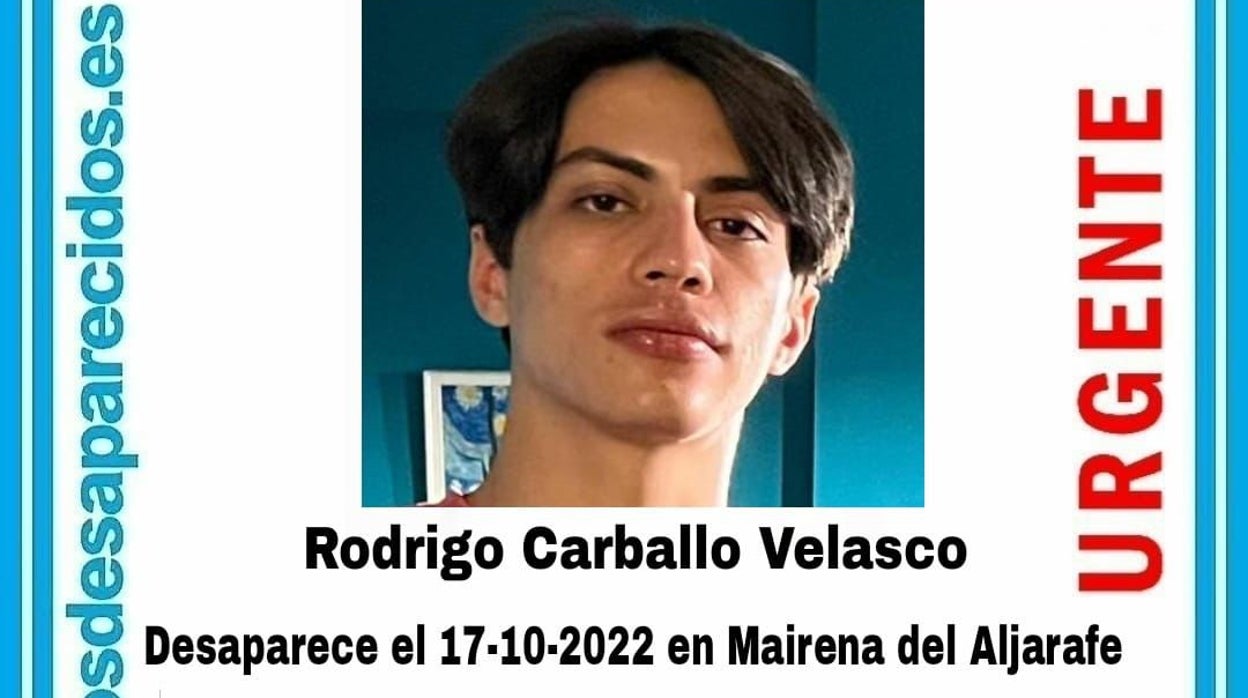 Buscan a un joven de 18 años desaparecido en Mairena del Aljarafe