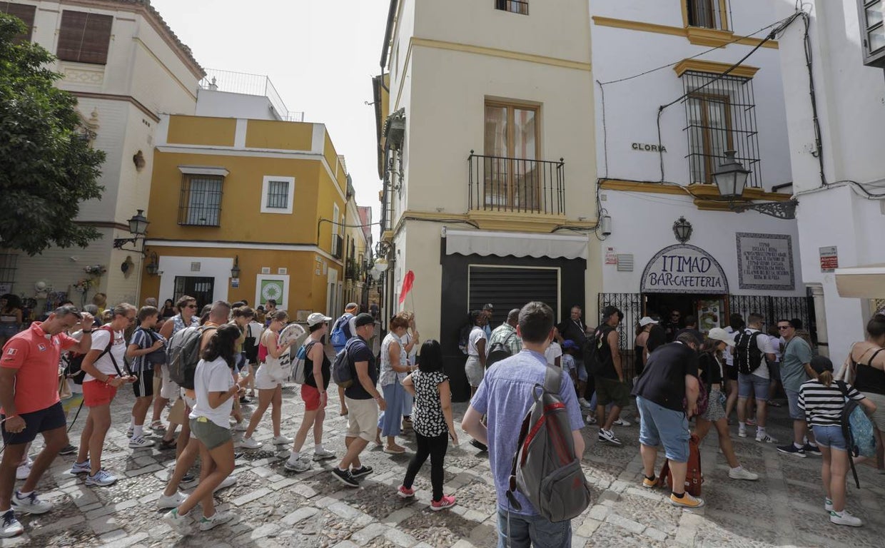 Un grupo pasea por el barrio de Santa Cruz