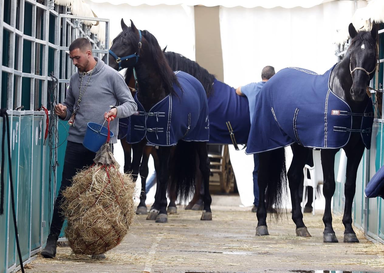 Ambiente este martes de la primera jornada del Salón Internacional del Caballo (Sicab)