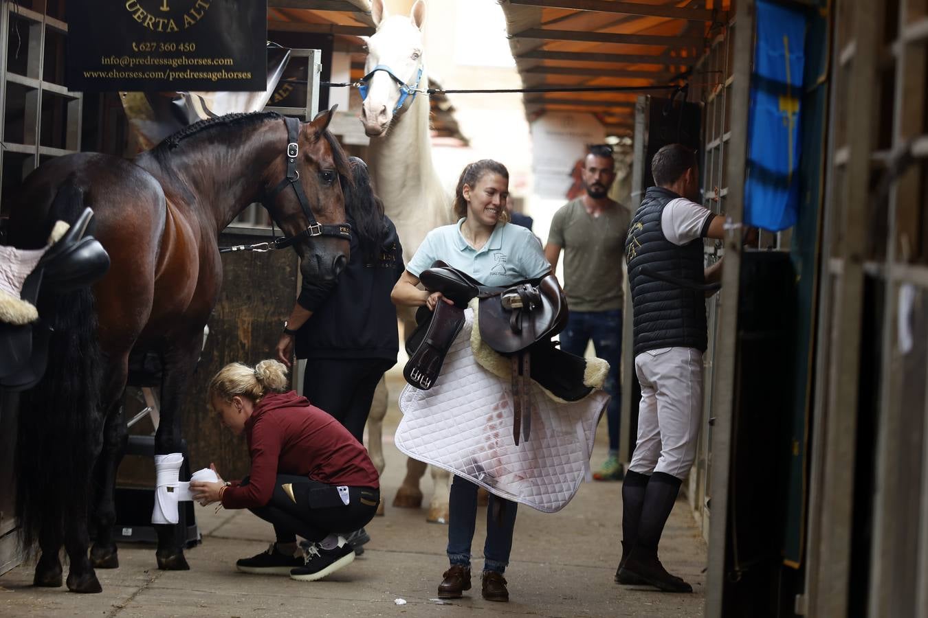 Ambiente este martes de la primera jornada del Salón Internacional del Caballo (Sicab)