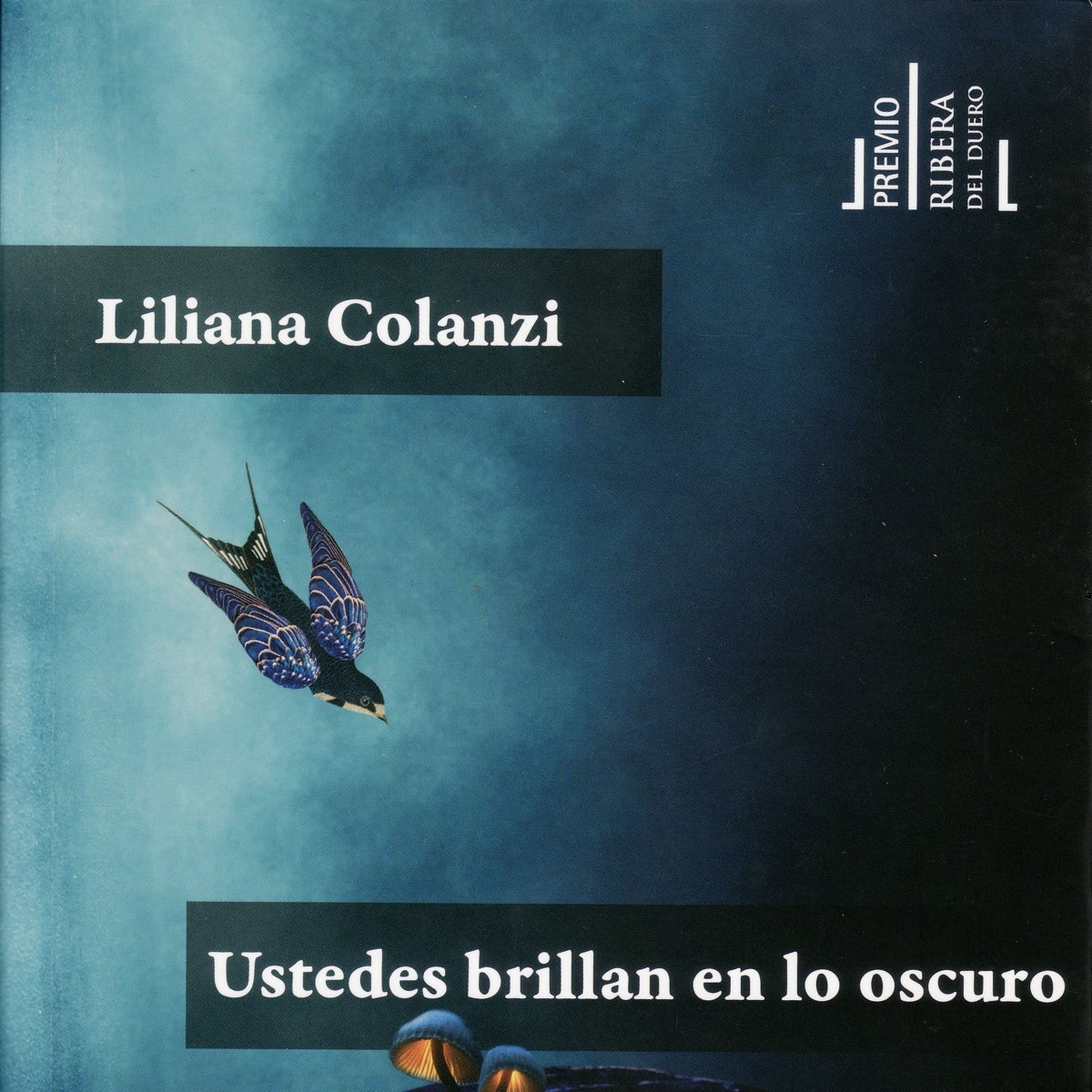 Libros recomendados: 'Ustedes brillan en lo oscuro', de Liliana Colanzi