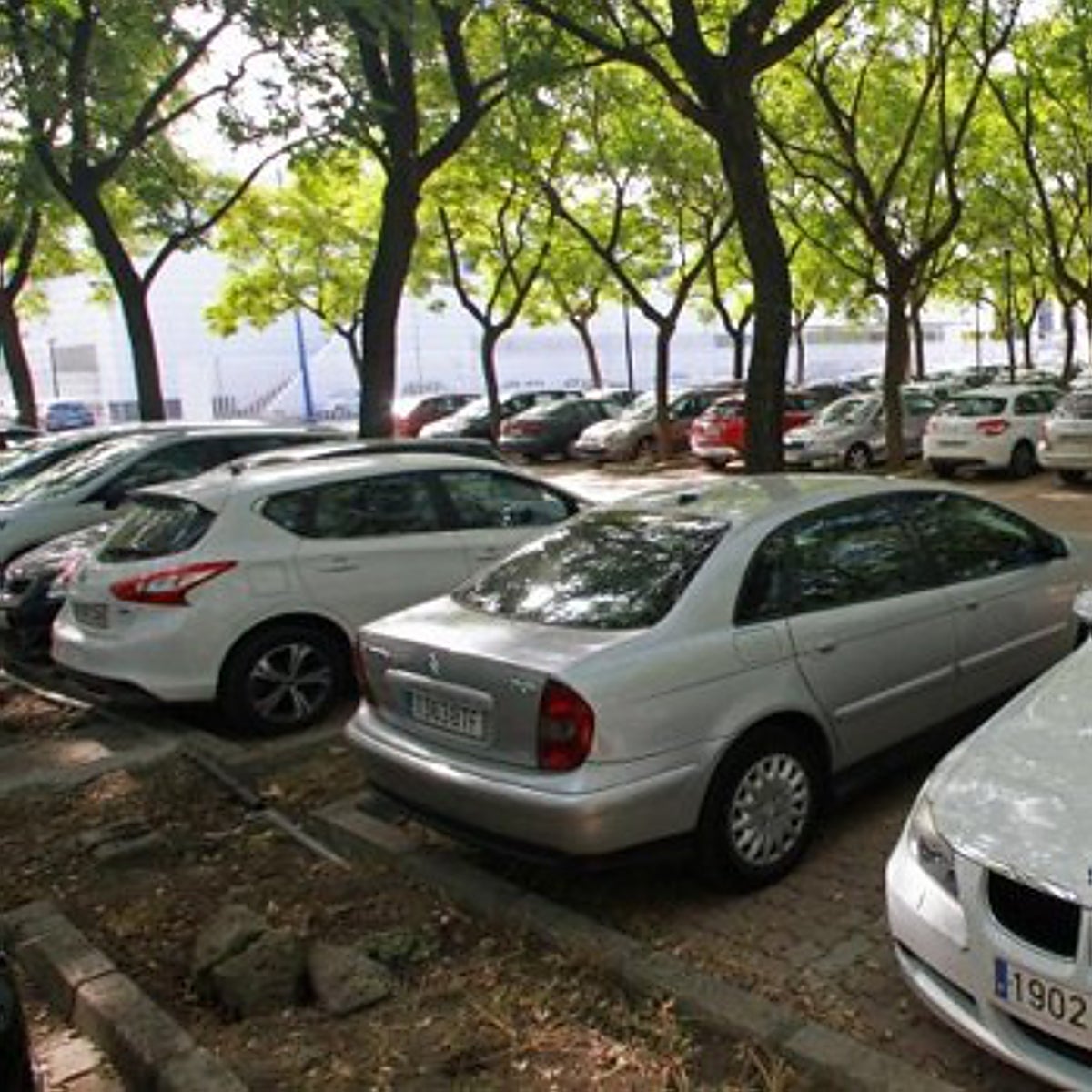 El Ayuntamiento de Sevilla aprueba instalar cámaras para restringir la entrada de vehículos contaminantes en la Cartuja