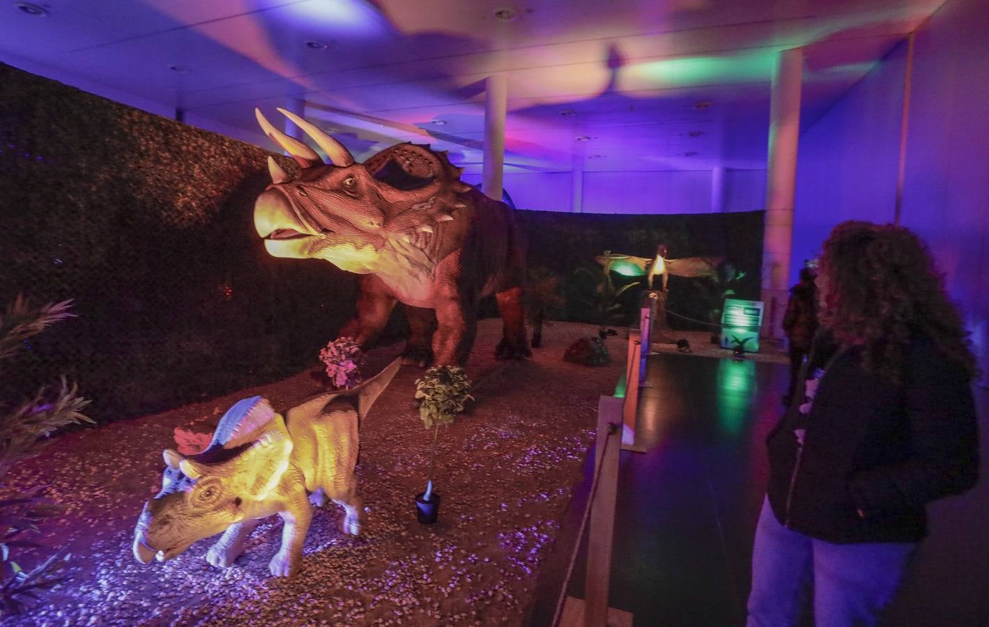 Las réplicas de los dinosaurios impresionan a los visitantes por su gran realismo 