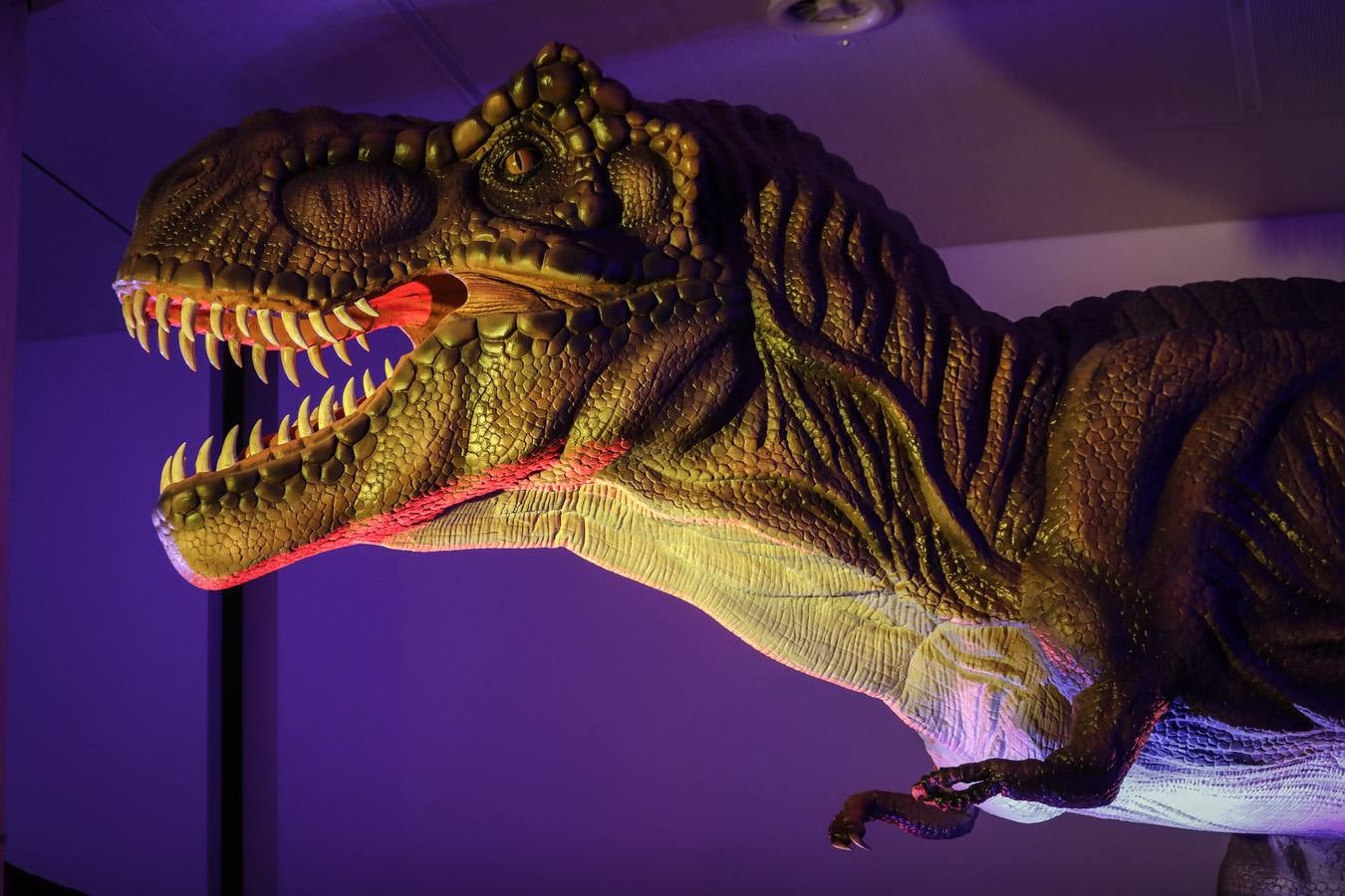 Las réplicas de los dinosaurios impresionan a los visitantes por su gran realismo 