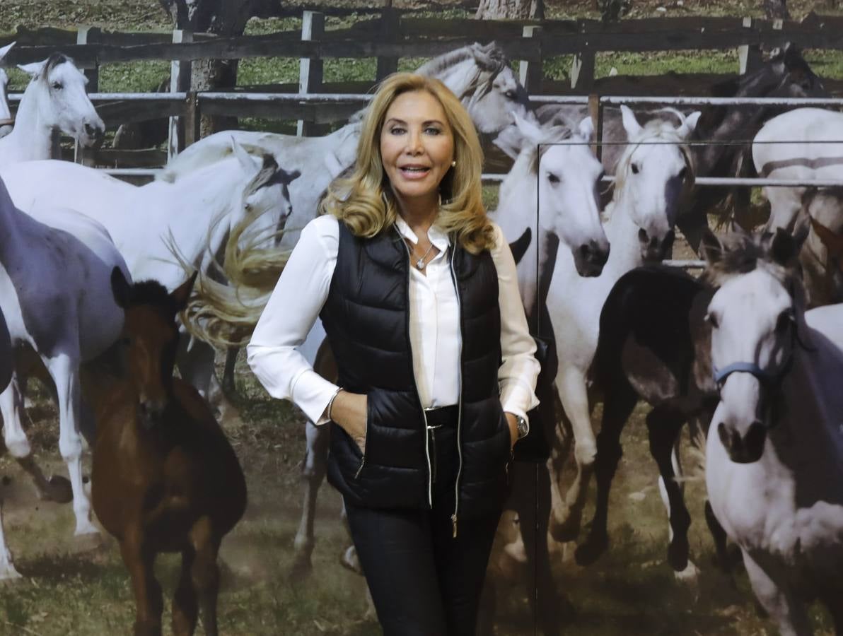 La muestra recibió este sábado mucho público, que disfrutó de la belleza de los caballos de pura raza española 