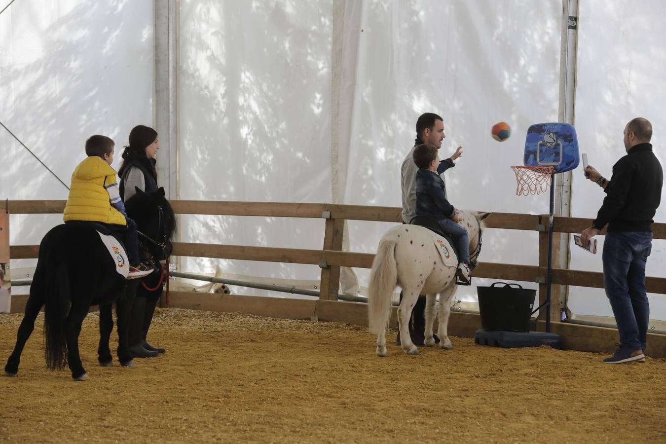 La muestra recibió este sábado mucho público, que disfrutó de la belleza de los caballos de pura raza española 