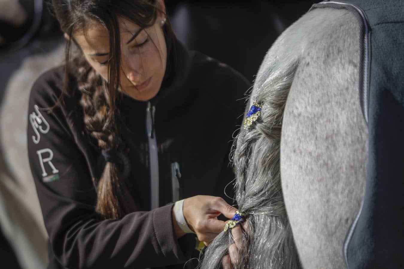La muestra recibió este sábado mucho público, que disfrutó de la belleza de los caballos de pura raza española 