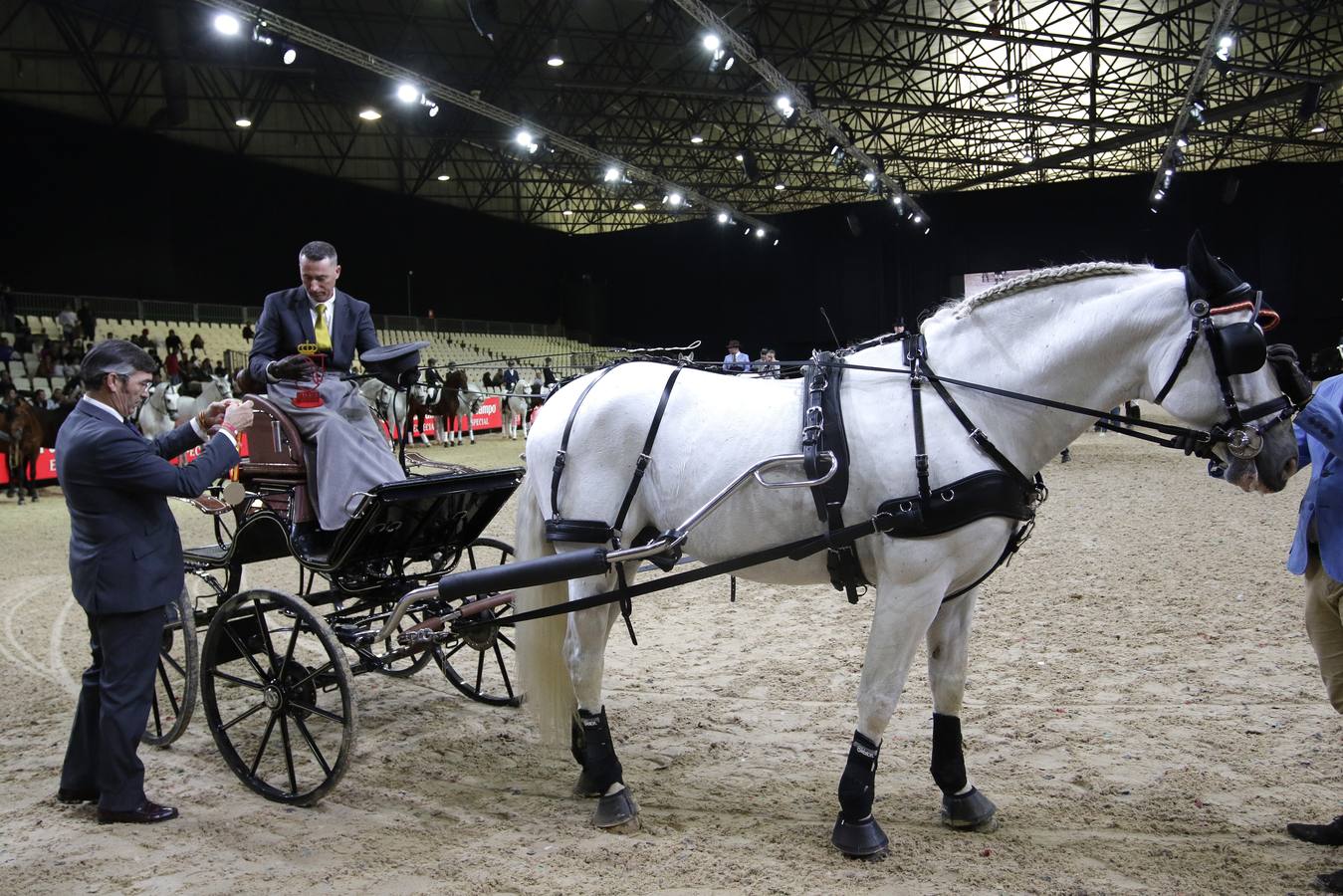 Caballistas y caballos recibieron este domingo sus premios como colofón a una gran edición de Sicab