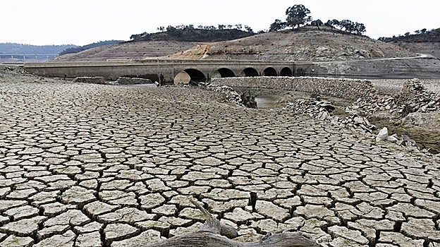 Las seis noticias que debes conocer hoy, jueves 1 de diciembre de 2022