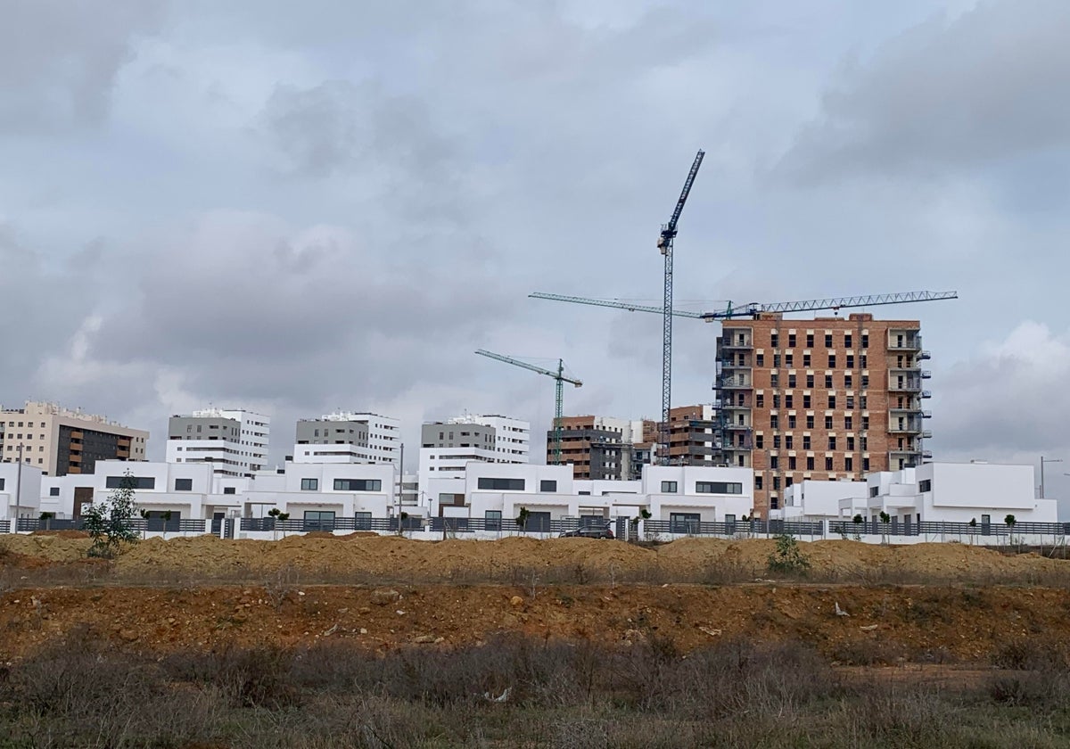 Construcción de viviendas unifamiliares y pisos en Entrenúcleos