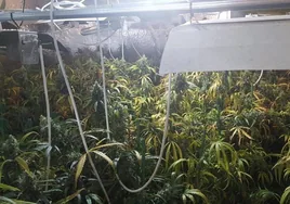 Condenado a pagar más de 8.000 euros por un enganche ilegal para cultivar marihuana