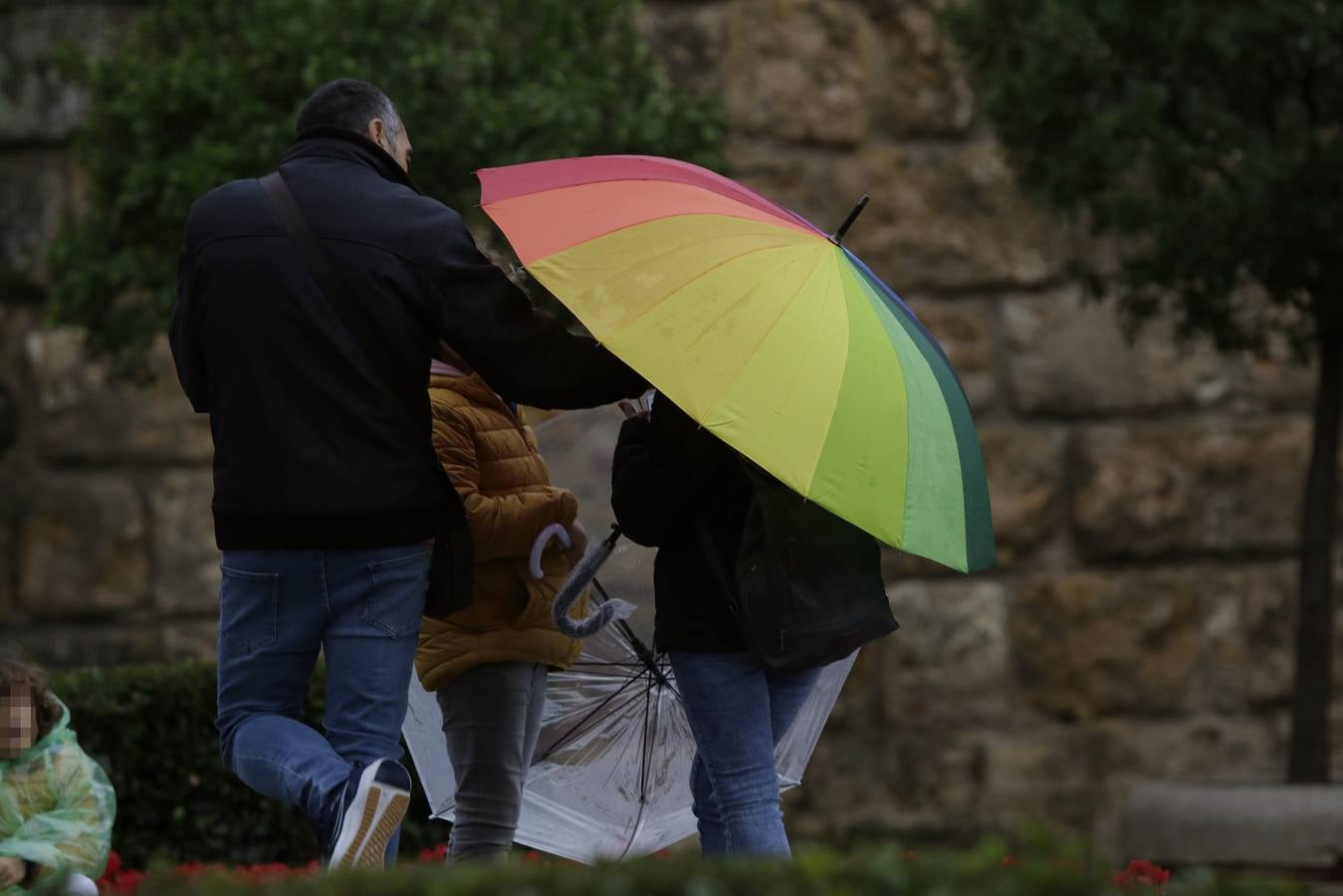 Imágenes que ha dejado la lluvia en el centro de la ciudad