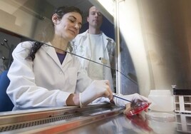 Andalucía supera la cifra récord de 27.000 personas dedicadas a la investigación científica