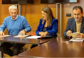 Izquierda Unida reconoce haberse reunido con el Gobierno municipal antes que Cs para negociar los presupuestos de Sevilla