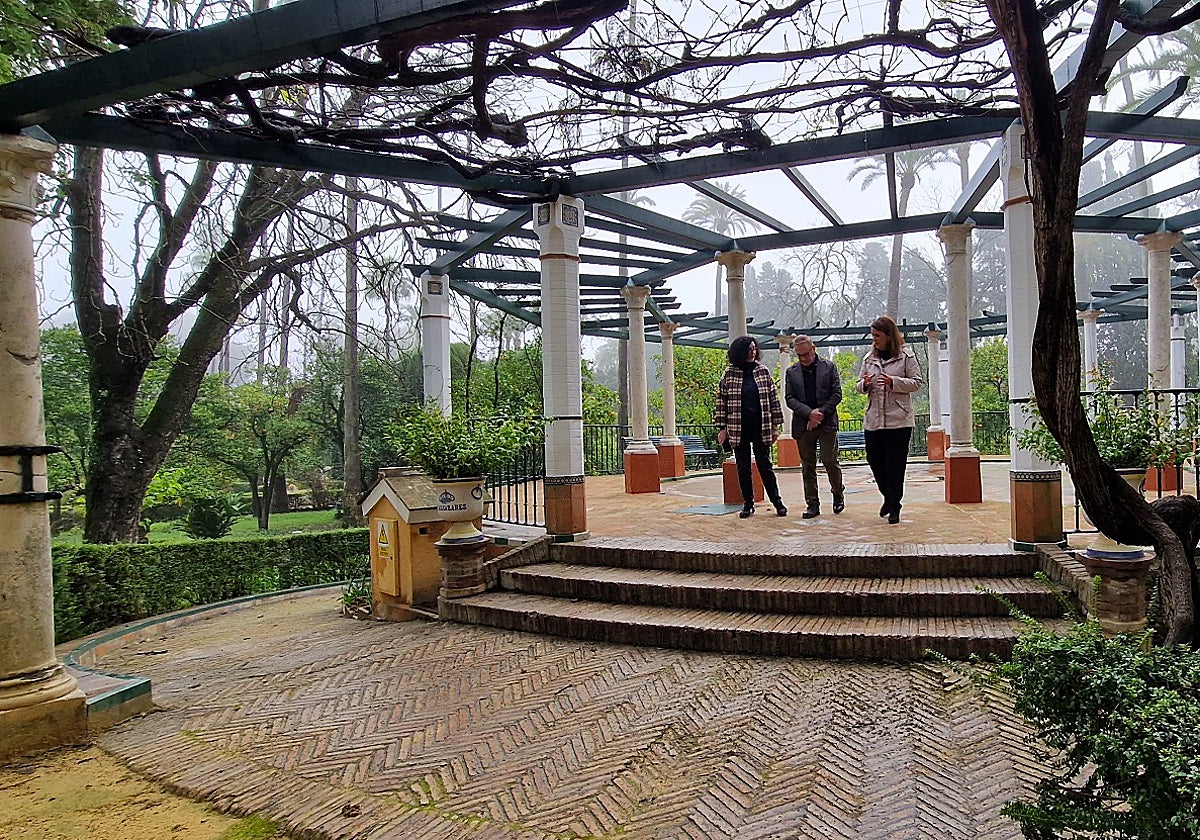 El Alcázar de Sevilla restaura el merendero de la parra y sus plantas centenarias