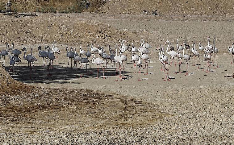Imagen principal - Andalucía: la cara y la cruz de un vuelco sociológico histórico