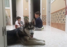La historia del husky, un año después, que un niño de Sevilla pidió en una carta a los Reyes Magos con cuatro euros dentro