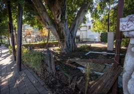 Cultura insta al alcalde de Sevilla a limpiar y adecentar el espacio de La Raza en el Parque de María Luisa