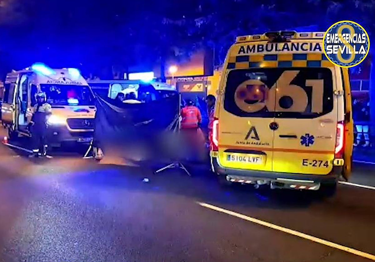 Policía Local de Sevilla y personal sanitario en la zona donde ha sido atropellada una persona en la Ronda Urbana Norte