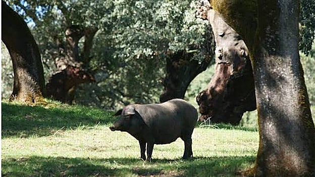 Las seis noticias que debes conocer hoy, lunes 16 de enero de 2023