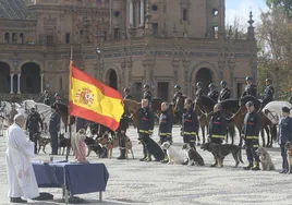 Bendicen a los animales que trabajan en cuerpos policiales y servicios de emergencia de Sevilla