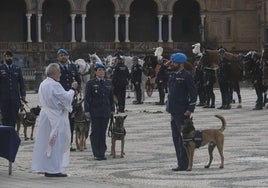 Acto de reconocimiento a los animales de las fuerzas de seguridad por el día de San Antón