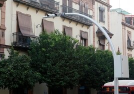 El Ayuntamiento de Sevilla fija en marzo el inicio de las pruebas del Plan Respira en el centro histórico