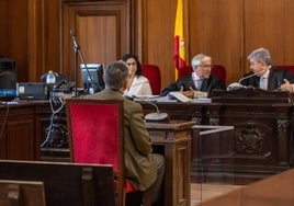 El TSJA confirma los 20 años de cárcel para el sevillano que asesinó a su suegra en un piso del Centro