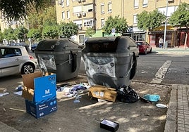 La limpieza, el principal problema de la ciudad según los sevillanos