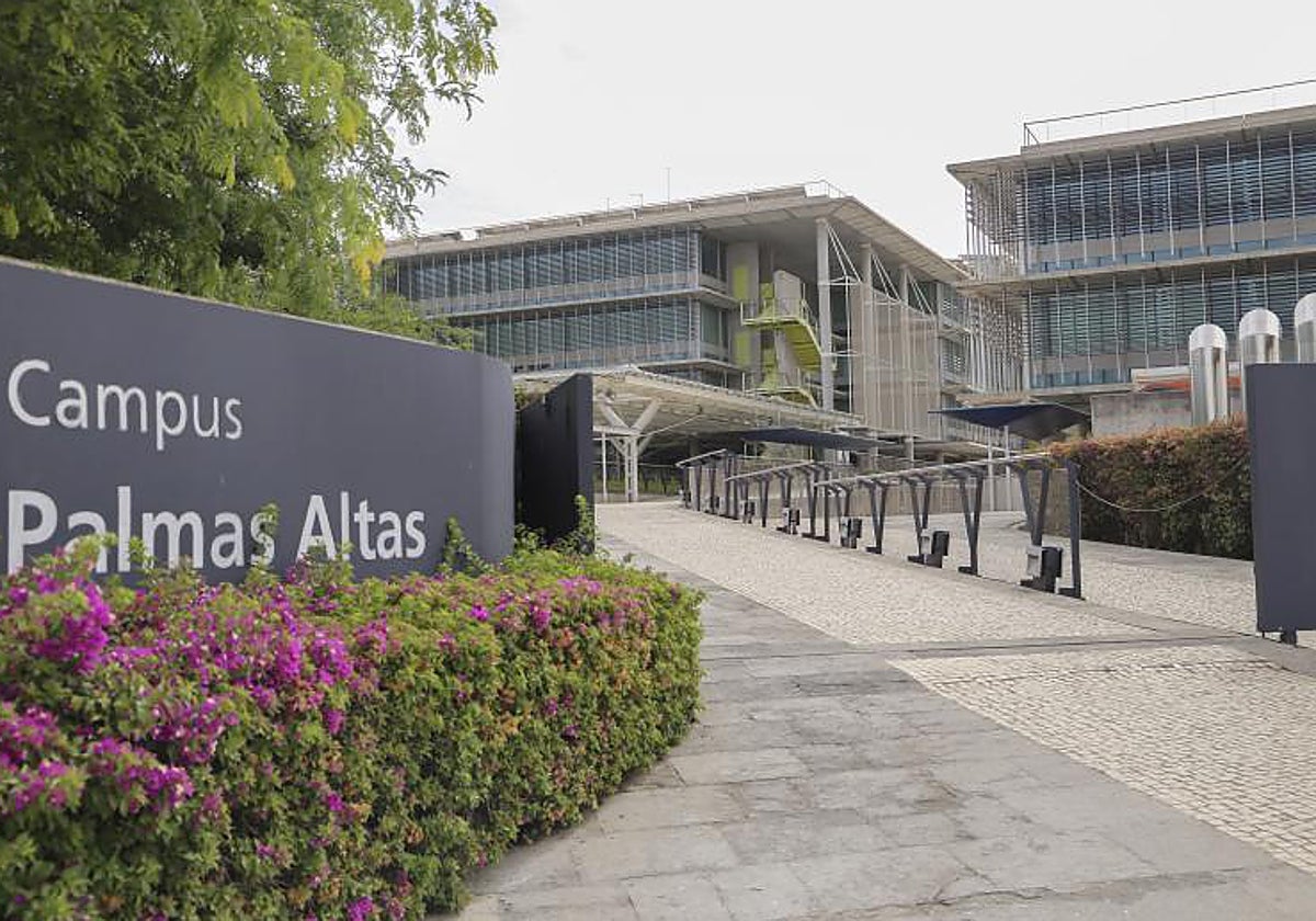 Instalaciones del campus de Palmas Altas donde se instalará la Ciudad de la Justicia