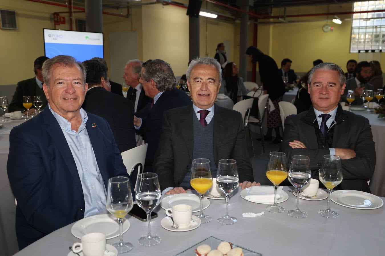 Adolfo Borrero, Pablo Gutiérrez Alviz y Agustín Rodríguez