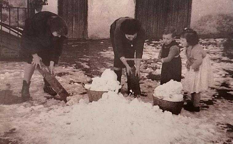 Imagen principal - Tal día como hoy, 2 de febrero (pero de 1954), un manto blanco de nieve cubrió Sevilla: las fotografías de aquella jornada