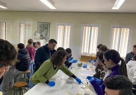 Alumnos de un instituto sevillano ponen nombre a cuatro nuevas bacterias descubiertas en Andalucía